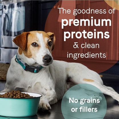 Canidae Pure Limited Ingredient Premium Adult Dry Dog Food, Real Wild Boar & Garbanzo Bean Recipe, 4 lbs, Grain Free