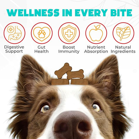 Probiotics for Dogs Chews 150 pcs - Probiotic Chews for Dogs with Enzymes & Natural Ingredients - Digestive & Gut Health Support - US Formula - Beef Flavored