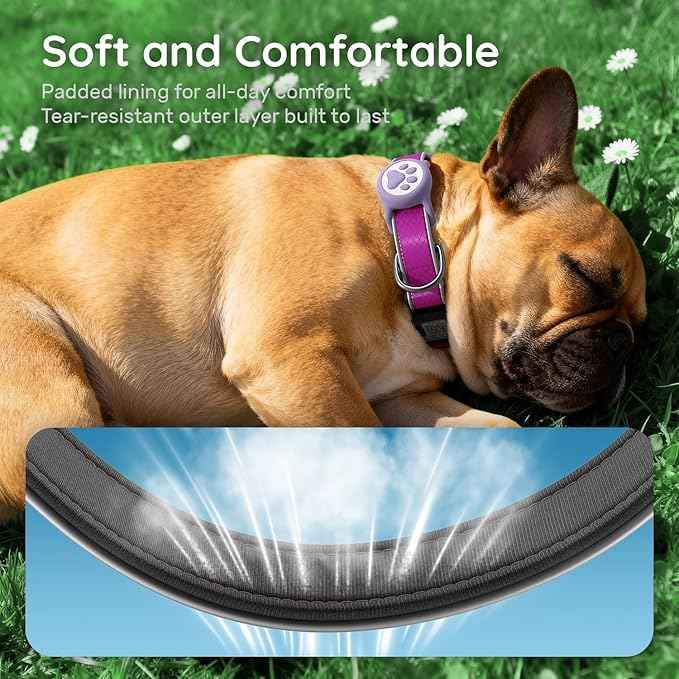 Airtag Dog Collar, IPX8 Waterproof Air Tag Dog Collar Holder | Reflective Ultra-Durable | Soft Padded | Safety Locking Buckle | Fit Miedium Dogs (Black M(12.6"-19.6"))