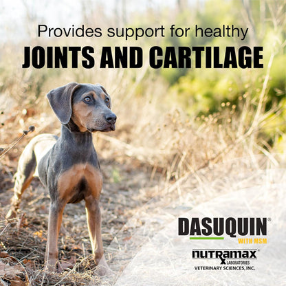 Nutramax Laboratories Dasuquin with MSM Chewable Tablets For Small/Medium Dog
