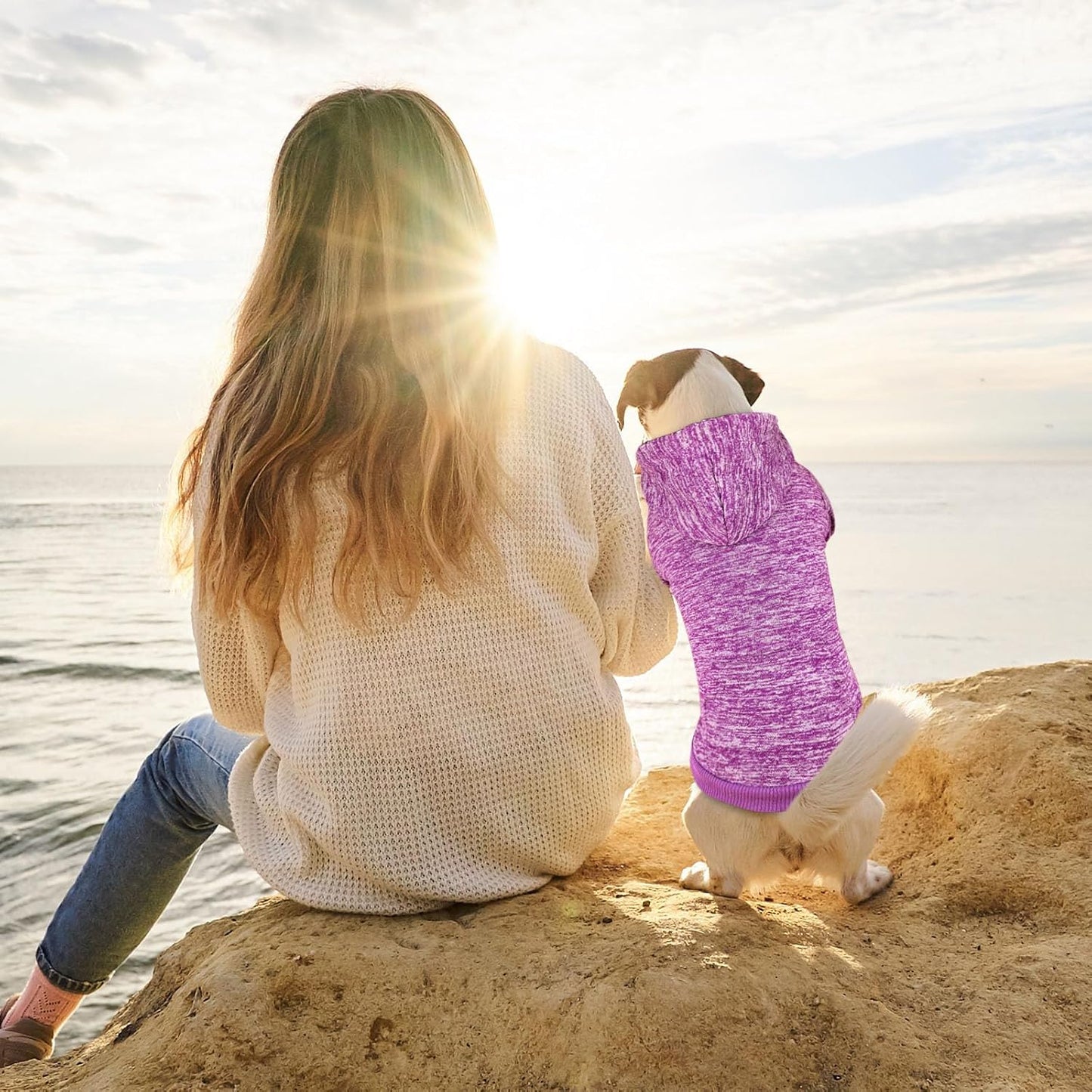 Dog Sweaters for Small Dogs Hoodie Fleece Dog Sweater Soft Clothes Sweatshirt with Pocket Hoodie for Small Dogs Puppy Sweater(Purple&S)