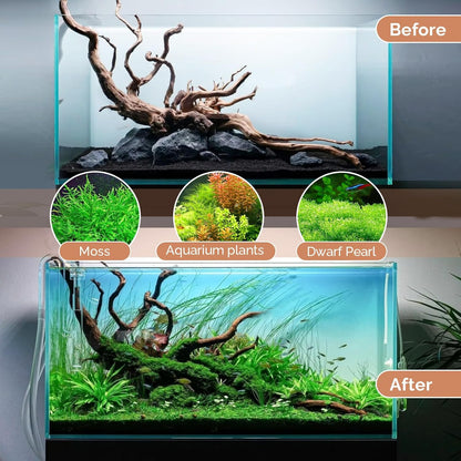 Natural Driftwood for Aquarium 12"-16" Large Aquarium Coral Wood Decor | Single Piece for Fish Tank Landscaping, Reptile Terrarium Climbing Branch, Freshwater Aquatic Wood Aquascaping