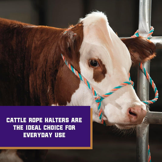 Weaver Leather Livestock Cattle Poly Rope Halter