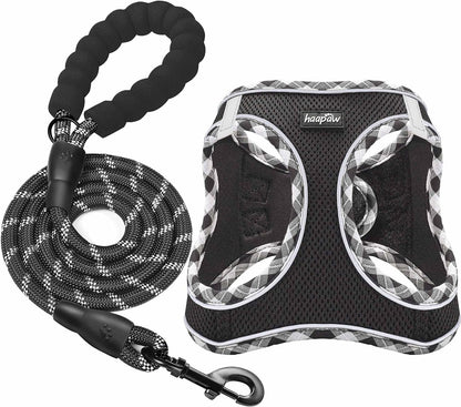 haapaw Dog Harness with Leash Set, No Pull Adjustable Reflective Step-in Puppy Harness with Thickened Padded Vest for Extra-Small/Small Medium Dogs