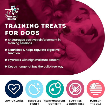 Onward Hound Training Treats for Dogs - Soft Salmon - Low Calorie Dog Training Treats for Sensitive Stomachs with Single Source Premium Protein, Corn Free, & Soy Free Formula - 10 oz