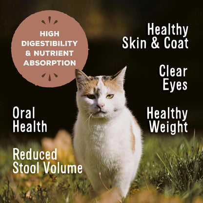 Primal Freeze Dried Raw Cat Food Nuggets Venison, Complete & Balanced Meal or Topper, Premium, Healthy, Grain Free, High Protein Raw Cat Food with Probiotics (14 oz)