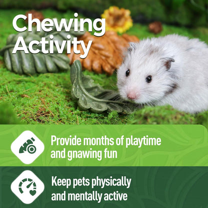 TEEWY 6PCS Hamster Chew Toys, Guinea Pig Chew Toys for Teeth with Natural Vegetables and Timothy Grass, Chinchilla Toys,Dental Care for Rats/Guinea Pigs/Hamsters and Gerbil, Leaf-Shape
