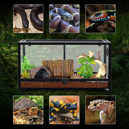 Large Reptile Tank 25 Gallon, 360°Full Vision Glass Reptile Terrarium with Top Mesh Lid for Beaded Dragon Lizard Gecko Snake Hermit Crab Use, 30"(W) X 12"(D) X 16"（H）