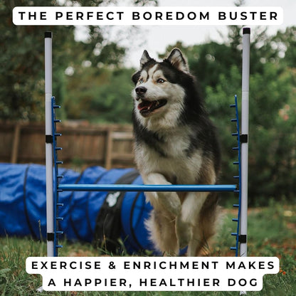 Better Sporting Dogs 4 Pack Adjustable Dog Agility Bar Jumps w/Cup Strips | Competition-Style Jump Cups for Height Class & Safe Displacement