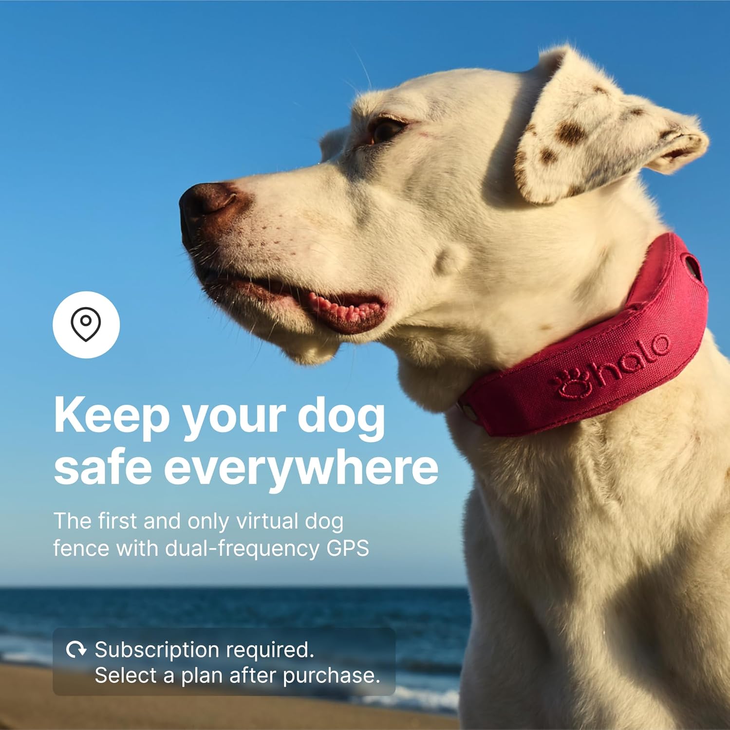 Halo Collar 4, All New GPS Wireless Dog Fence & Dog Training Collar with GPS Tracker, Subscription Required, Waterproof, One Size, Midnight - Pawvie
