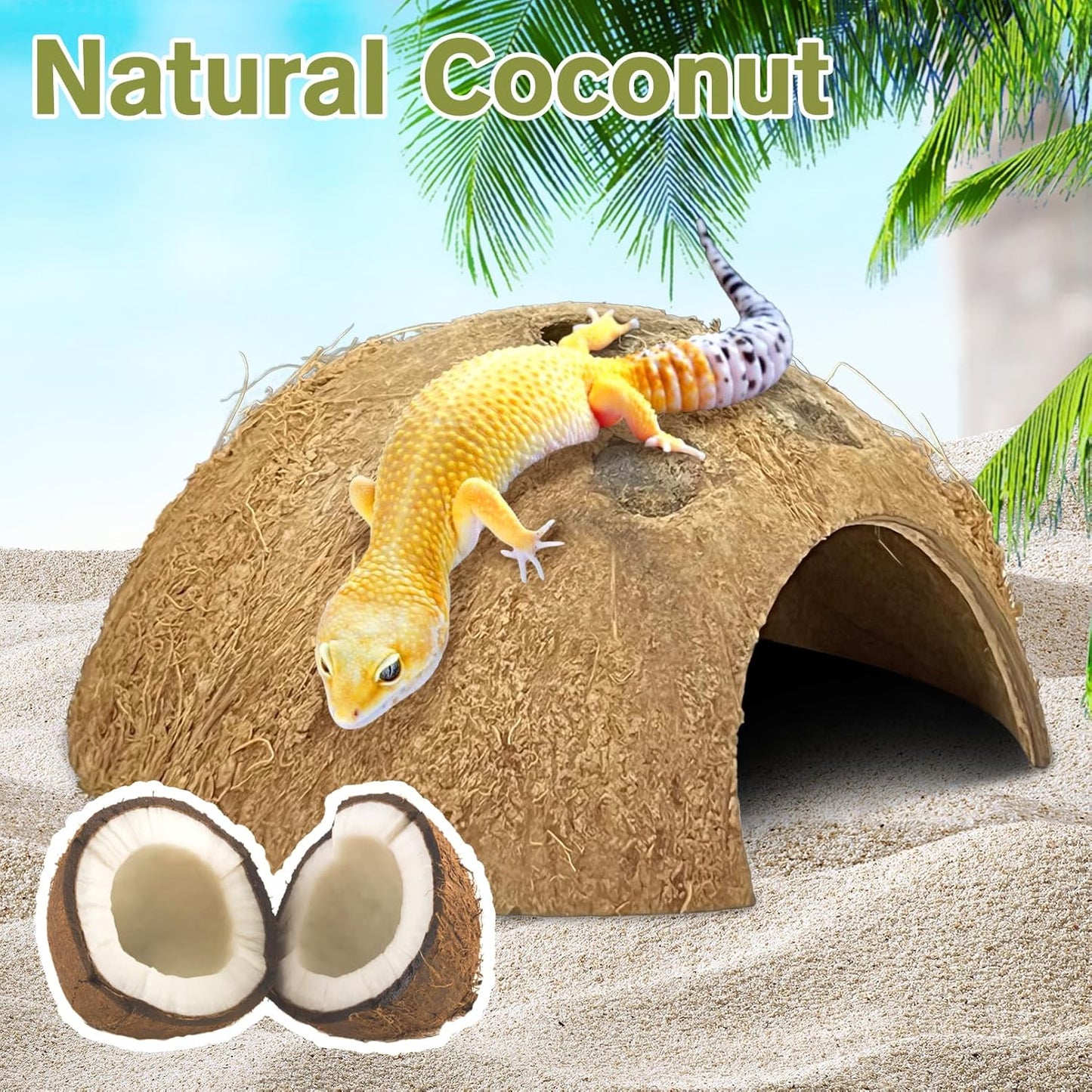 Hamiledyi 7 Pcs Reptile Hideouts Natural Coconut Shells Hut Leopard Gecko Tank Accessories for Hermit Crab Small Snake Tarantulas Lizard Chameleon Small Animal Hide Cave (with Fiber)