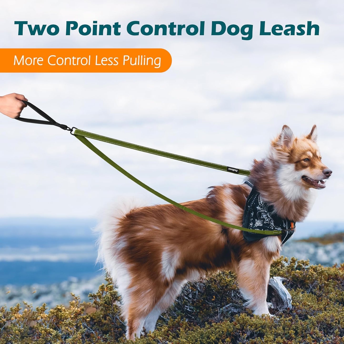 PetBonus Two Point Control Dog Leash, Works with No Pull Harnesses, No Tangle Dog Training Leashes, No Pull Padded and Reflective Walking Lead, Converts to Single Leash for Large Dogs (Khaki Green)
