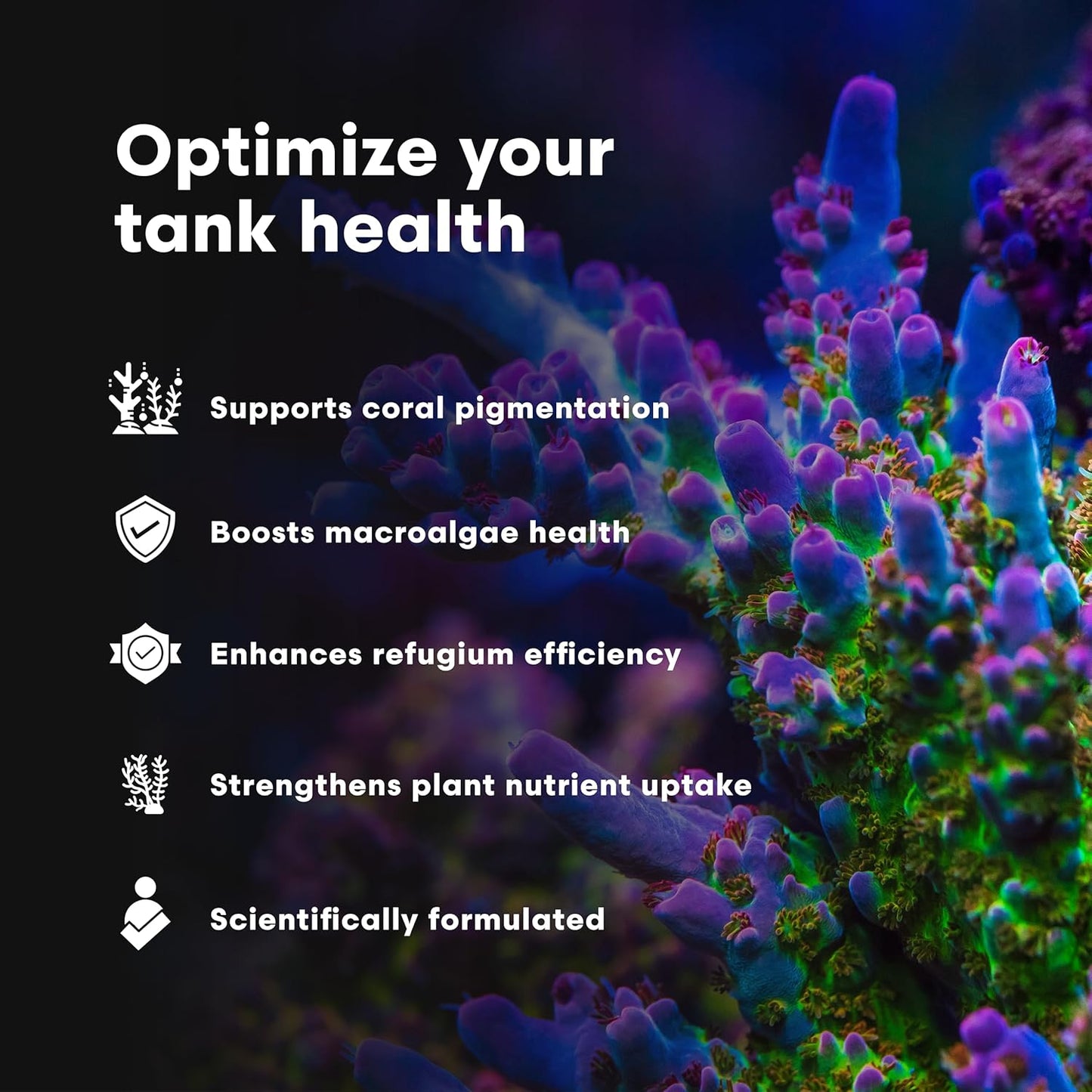 Brightwell Aquatics Ferrion - Concentrated Iron Supplement for Marine Fish and Reef Aquariums 250-ml