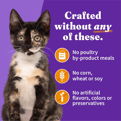 Halo Wet Kitten Food Whole Chicken Recipe, Grain Free Wet Cat Pate, Canned Cat Food to Support Brain Development, 3 Oz Can (Pack of 12)