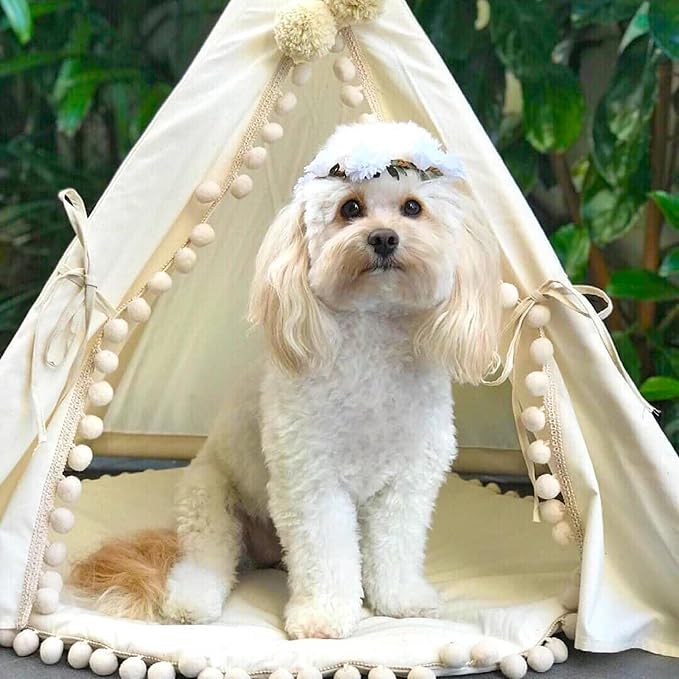 MINICAMP Pet Teepee Bed for Dogs and Cats – Cozy Indoor Dog Tent with Natural Cotton– Luxury Pet House & Hideaway Bed for Small to Medium Dogs, Cats and Other Animals - Made in EU (Medium)