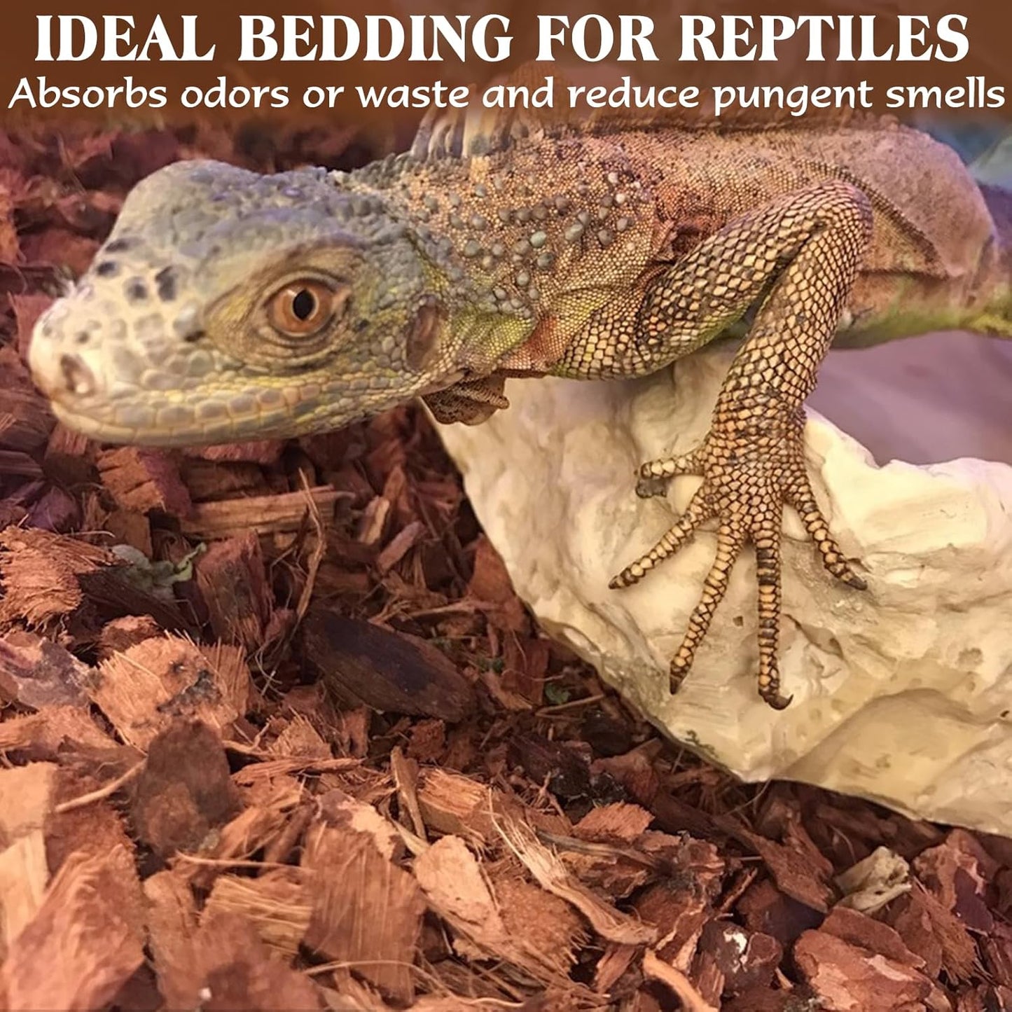 ZeeDix 10LB Coco Fiber Chips Substrate for Reptiles, 72 Quart Coconut Fiber Husk Substrate Mulch Coco Chips Bricks Reptiles Bedding for Geckos, Lizards, Tortoises, Ball Python, Frogs