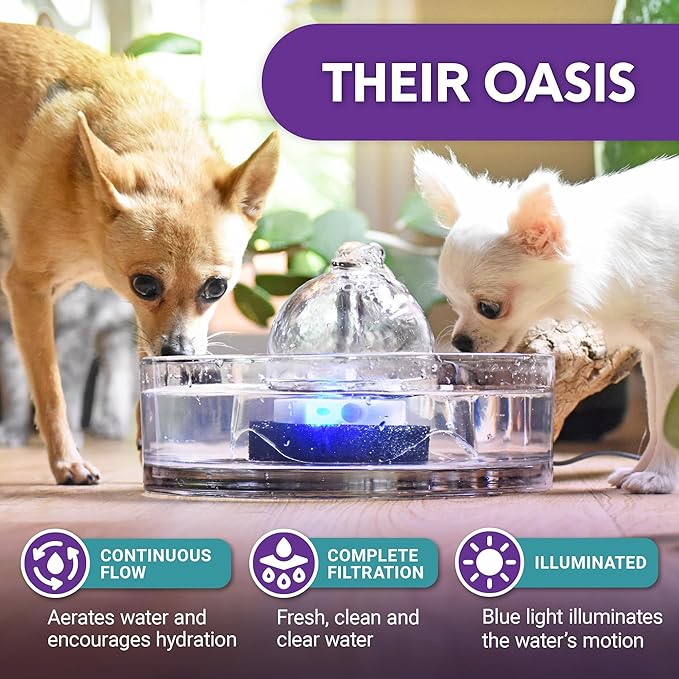 Brook Glass Pet Fountain (90oz/2.7L) – Cat & Dog Water Fountain – Glass Cat Fountain & Automatic Water Dispenser for Drinking
