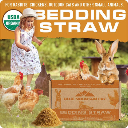 Blue Mountain Hay | Organic Bedding Straw (5 lb) | Natural Pet Bedding & Insulation for Rabbits, Guinea Pigs, Goats, Chickens, Stray & Feral Cats, and Small Animal Shelters