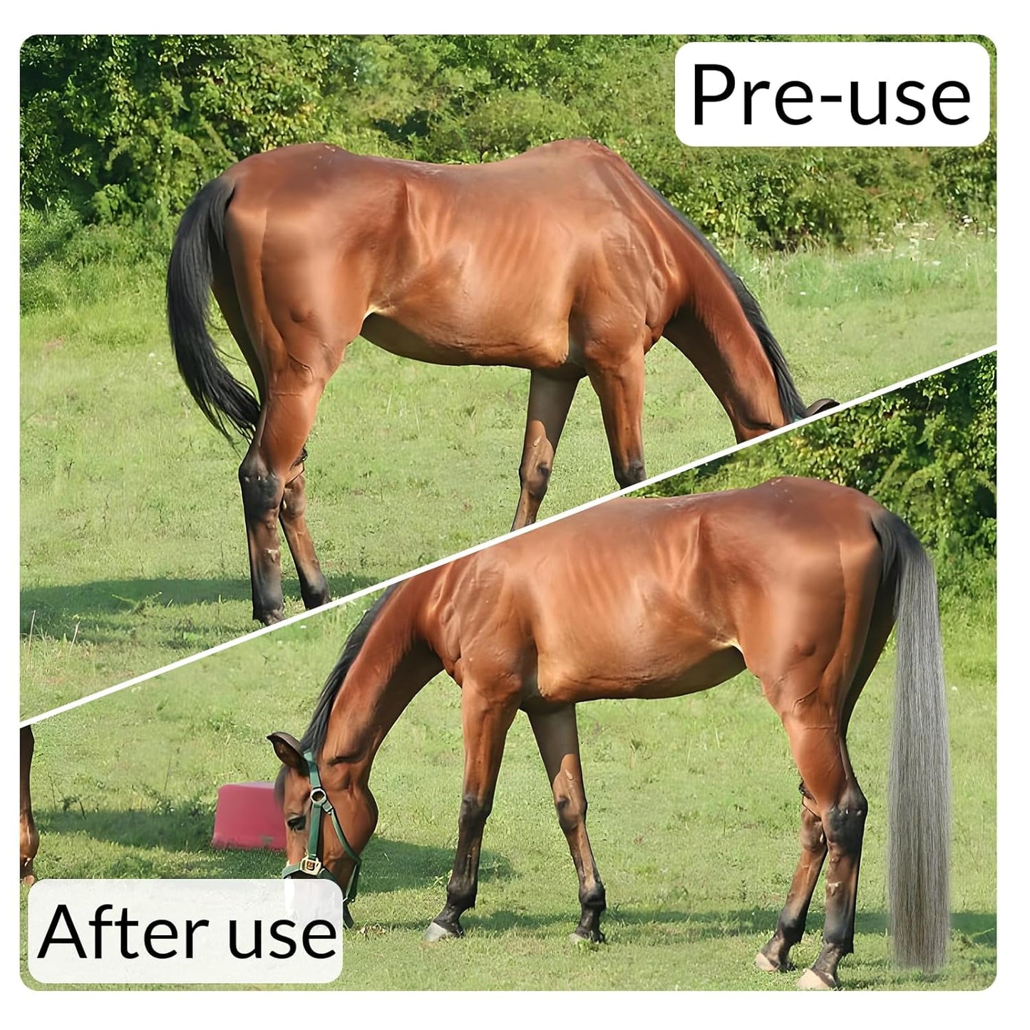 Horse Tail Extension with Braided Horsehair Loop, Blunt Cut Bottom, 3/8 lb, 28-30 inches (Medium gray)