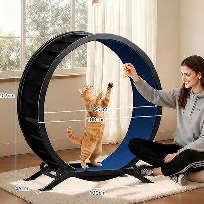 GTPLAYER Cat Wheels, Large Cat Exercise Wheel for Indoor Cats, 40"Diameter cat treadmill Detachable Carpet & Teaser, stickers, Ultra-quiet scroll wheel With latch, Suitable for Most Cats, Metal, Blue