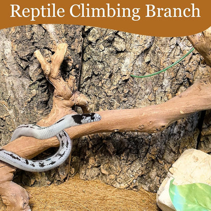 kathson 2PCS Snake Climbing Branch,Reptile Wood Branches Decor, Lizard Natural Wood Climb Accessories,Reptiles Habitat Tank Tree Trunk Decorations for Bearded Dragon Geckos Chameleons Frog