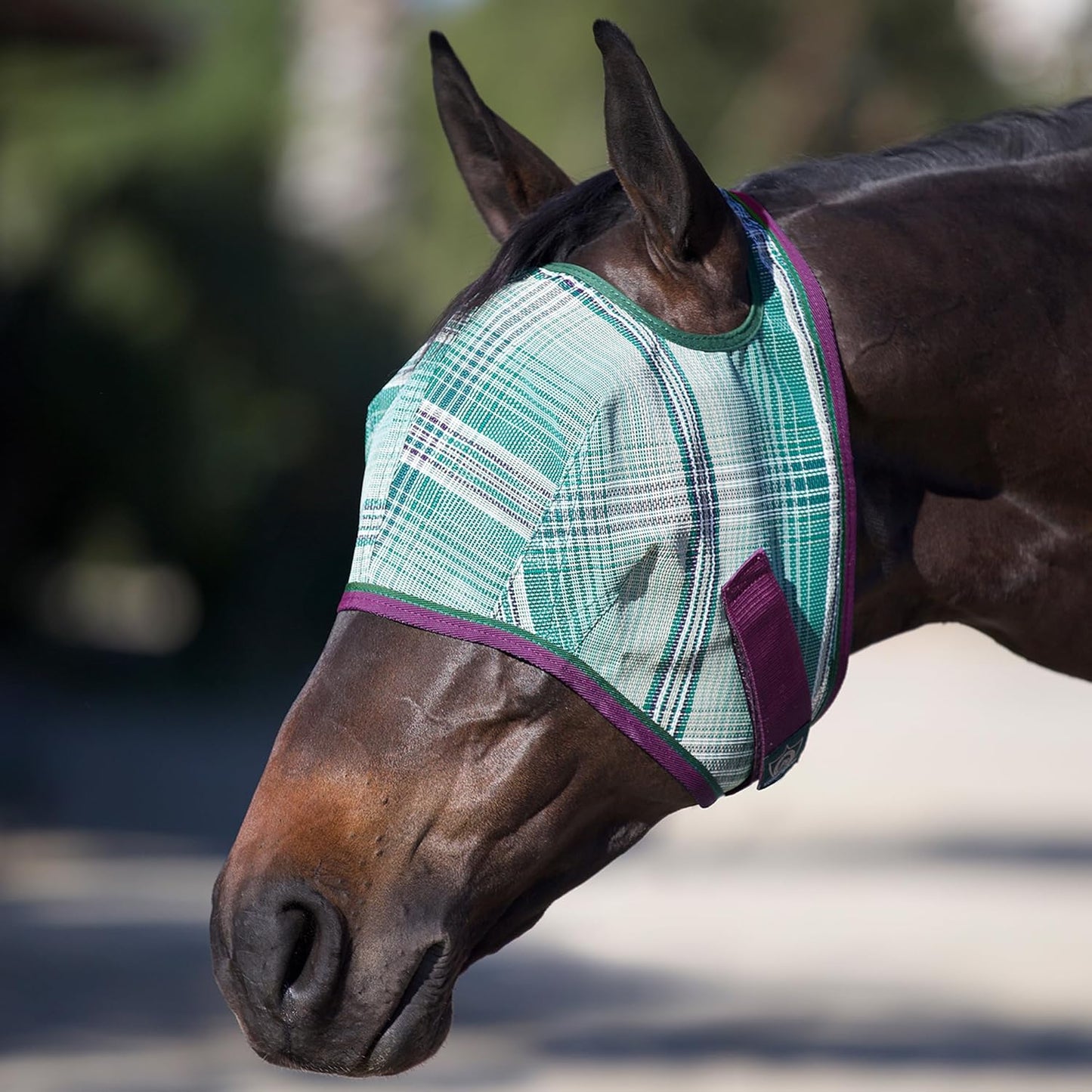 Kensington Fly Mask Web Trim Protects Horses Face and Eyes from Bites and Sun Rays While Allowing Full Visibility Ears and Forelock Able to Come Through The Mask, Small, Imperial Jade