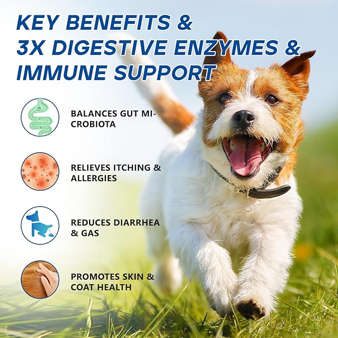 Probiotics for Dogs Dog Probiotic Chews for Yeast Gut Digestive & Immune Health, Itch Relief Ears Skin & Coat with 11Billion CFU Probiotics, 6 Enzymes& 4 Prebiotics, Pumpkin, Omegas & Vitamins, 200ct