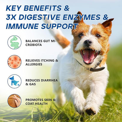 Probiotics for Dogs Dog Probiotic Chews for Yeast Gut Digestive & Immune Health, Itch Relief Ears Skin & Coat with 11Billion CFU Probiotics, 6 Enzymes& 4 Prebiotics, Pumpkin, Omegas & Vitamins, 200ct