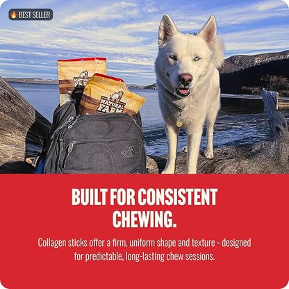 Natural Farm Odor Free Braided Collagen Chews for Dogs (12 Inch, 12 Pack), Collagen Sticks, Natural Dog Chews, Long Lasting, for Small, Medium and Large Dogs, Odor-Free, Rawhide Alternative
