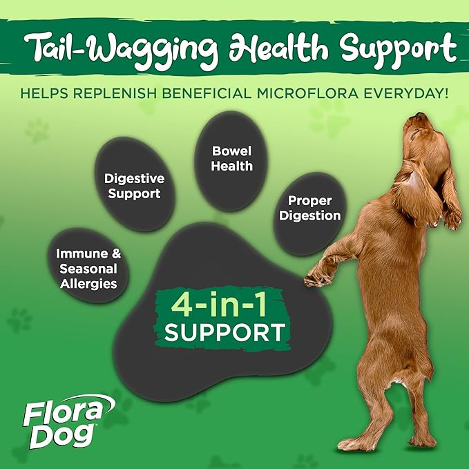 Vital Planet - Flora Dog Probiotic Chewable Tablets Supplement with 20 Billion Cultures and 10 Strains, High Potency Immune and Digestive Support Probiotics for Dogs, 30 Beef Flavored Chewable Tablets
