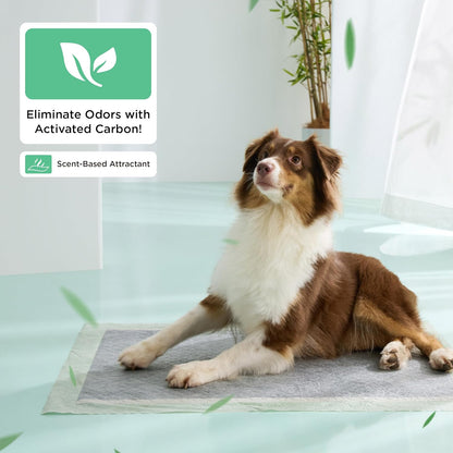 Bedsure Pee Pads for Dogs, 22" x 22" Puppy Pads 50 Count, Super Absorbent & Leak Proof, Small Dog Training Pads Quick Dry Thicken Pets Potty Pads Odor-Control Activated Carbon & ECO Green Material