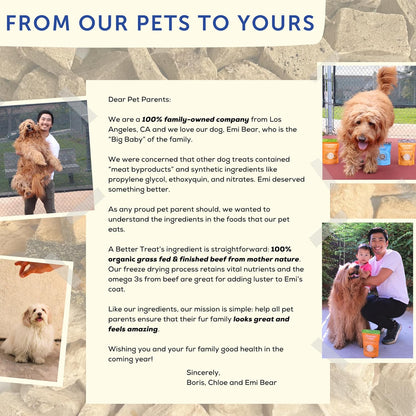 A Better Treat – Organic, Freeze Dried, Single Ingredient, 100% Grass Fed & Finished, Pasture Raised Beef Liver Dog Treats, Cat Treats | Natural Healthy | High Protein, Diabetic Friendly | Made in USA