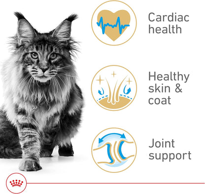 Royal Canin Maine Coon Breed Adult Dry Cat Food, 14 lb bag