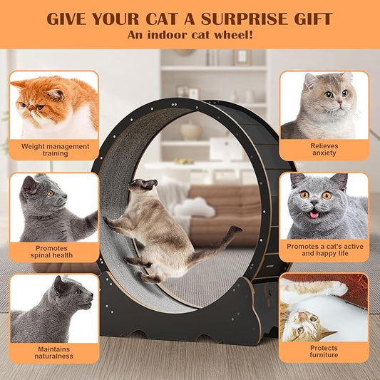 Cat Wheel, 48" XL Large Cats Exercise Running Wheel, Cat Treadmill for Indoor Cats