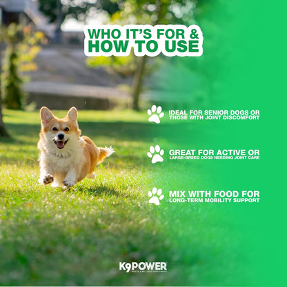 K9 Power Joint Strong Supplement 1 lb - Dog Joint Health & Mobility Support with Glucosamine, Curcumin, Chondroitin, Hip & Joint Pain Relief - Pack of 2