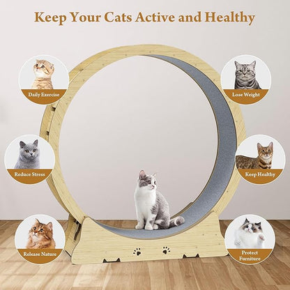 Large Cat Exercise Wheel, Quiet 48" Cat Treadmill for Indoor Cats, Running Wheel with Carpeted Runway & Stability Base, Ideal for Multiple Cats & Large Breeds for Fitness & Active Play