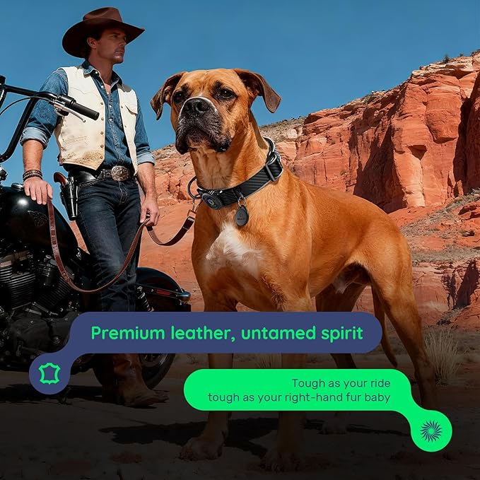 WhoseID Premium Leather Dog Collar - AirTag Dog Collar | Fur-Safe Magnetic Buckle | IPX8 Waterproof Reflective Small Dog Collar with AirTag Holder