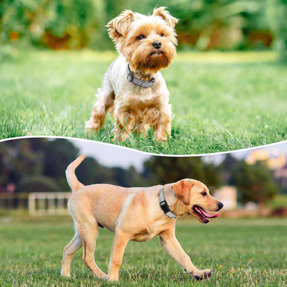 Reflective Dog Collar Padded with Soft Neoprene Breathable Quick Release Basic Dog Collars for Small Dogs Girl Boy Silver