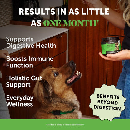 Pet Honesty Probiotics for Dogs - Digestive Enzymes Promotes Gut Health, Dog Probiotics for Diarrhea & Bowel Support, Prebiotics for Immunity Health & Itch Relief (Pumpkin 180 ct)