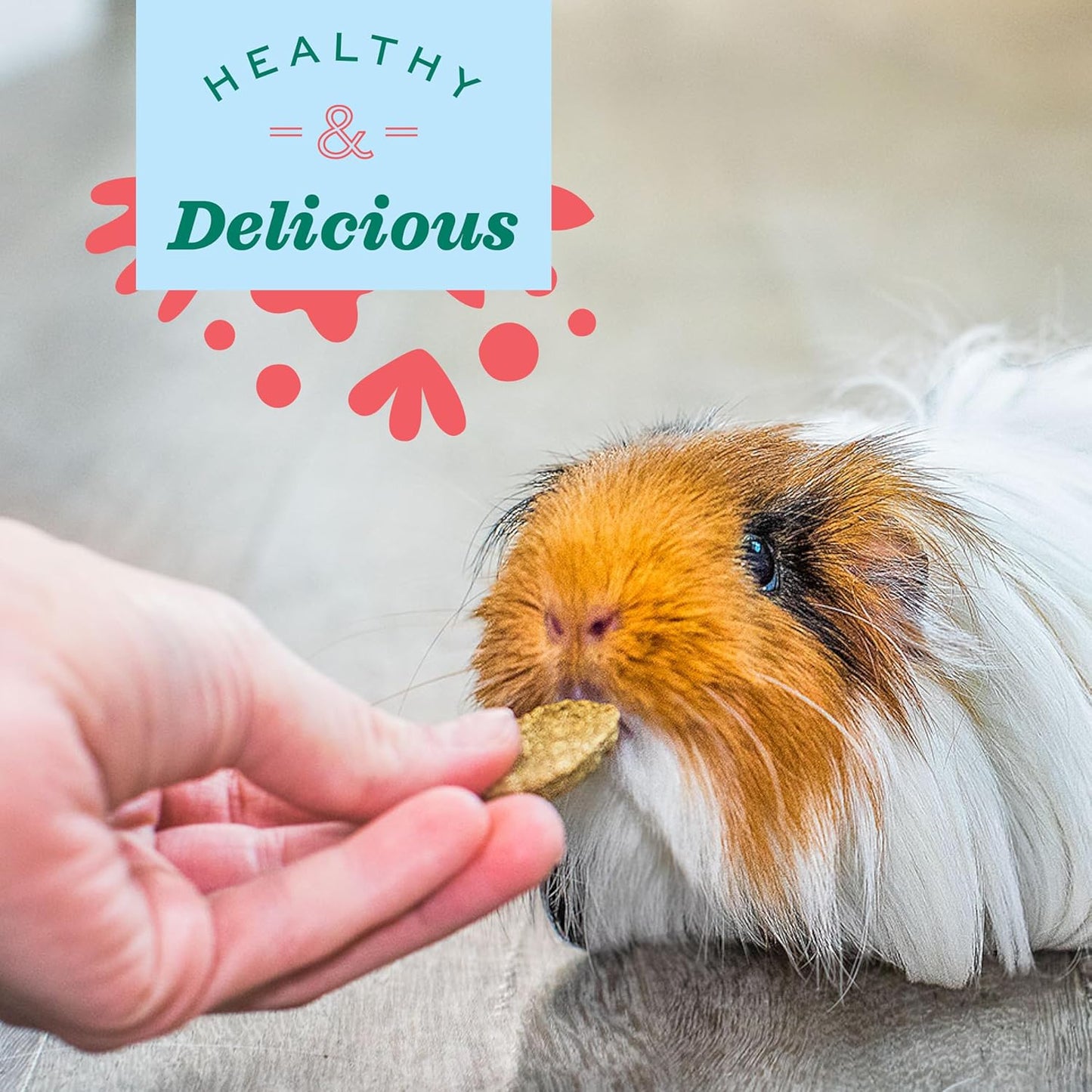 Oxbow Animal Health Natural Science Multi-Vitamin, High Fiber Supplement for Rabbit & Guinea Pig, Made with Timothy Hay, Multi-Pet Households, Omega 3 & 6 Fatty Acids, Made in USA, 4.2 oz Bag