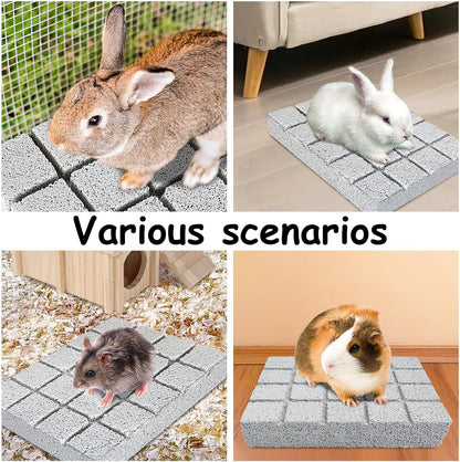 Hamiledyi 4PCS Rabbit Scratching Pads Bunny Lava Grinding Claw Pads Small Animal Foot Pads Hamster Scratch Board Chew Toys for Gerbil Chinchilla Hedgehog Guinea Pig Cage Accessories
