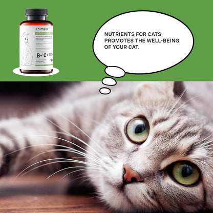 animaux – nutrients for Cats, All-Natural Cat Vitamins, Cat Essentials to Strengthen The Immune System & Natural Cell Protection, Healthy Skin & Shiny Coat, 120 Chewable Tablets, 120 Days Supply
