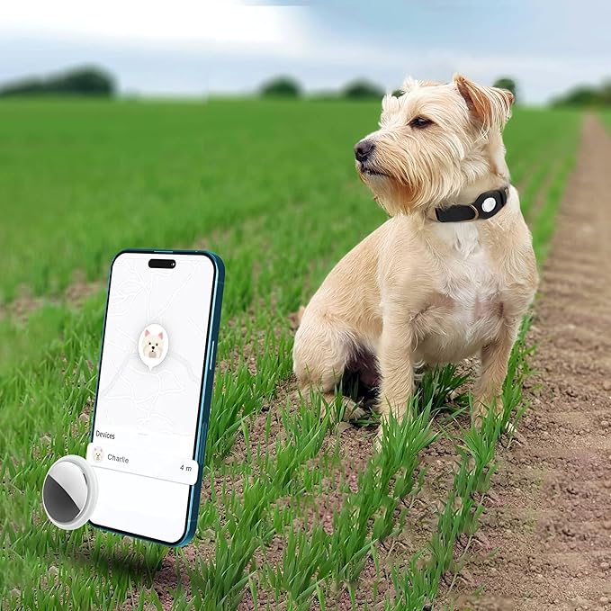 AirTag Dog Collar - Genuine Leather Dog Collar with Apple AirTag Holder and Metal Buckle - Smart GPS Tracking Pet Collars (Black, M, 14"-18" Neck Fit)