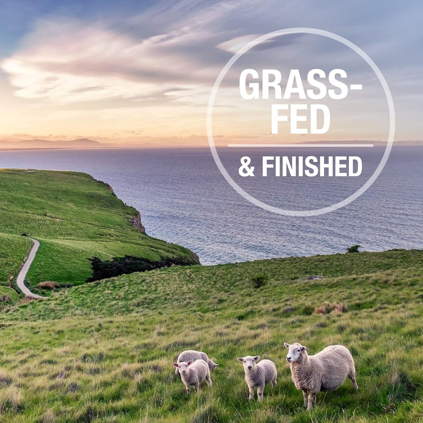 K9 Natural Freeze Dried Dog Food Topper with Verified Ingredients, Organ Meat Blend for Digestive Support, Human-Grade Freeze Dried Puppy Food & Dog Topping, Lamb Green Tripe, 7oz