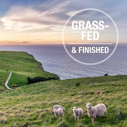 K9 Natural Freeze Dried Dog Food Topper with Verified Ingredients, Organ Meat Blend for Digestive Support, Human-Grade Freeze Dried Puppy Food & Dog Topping, Beef Green Tripe, 2.6oz