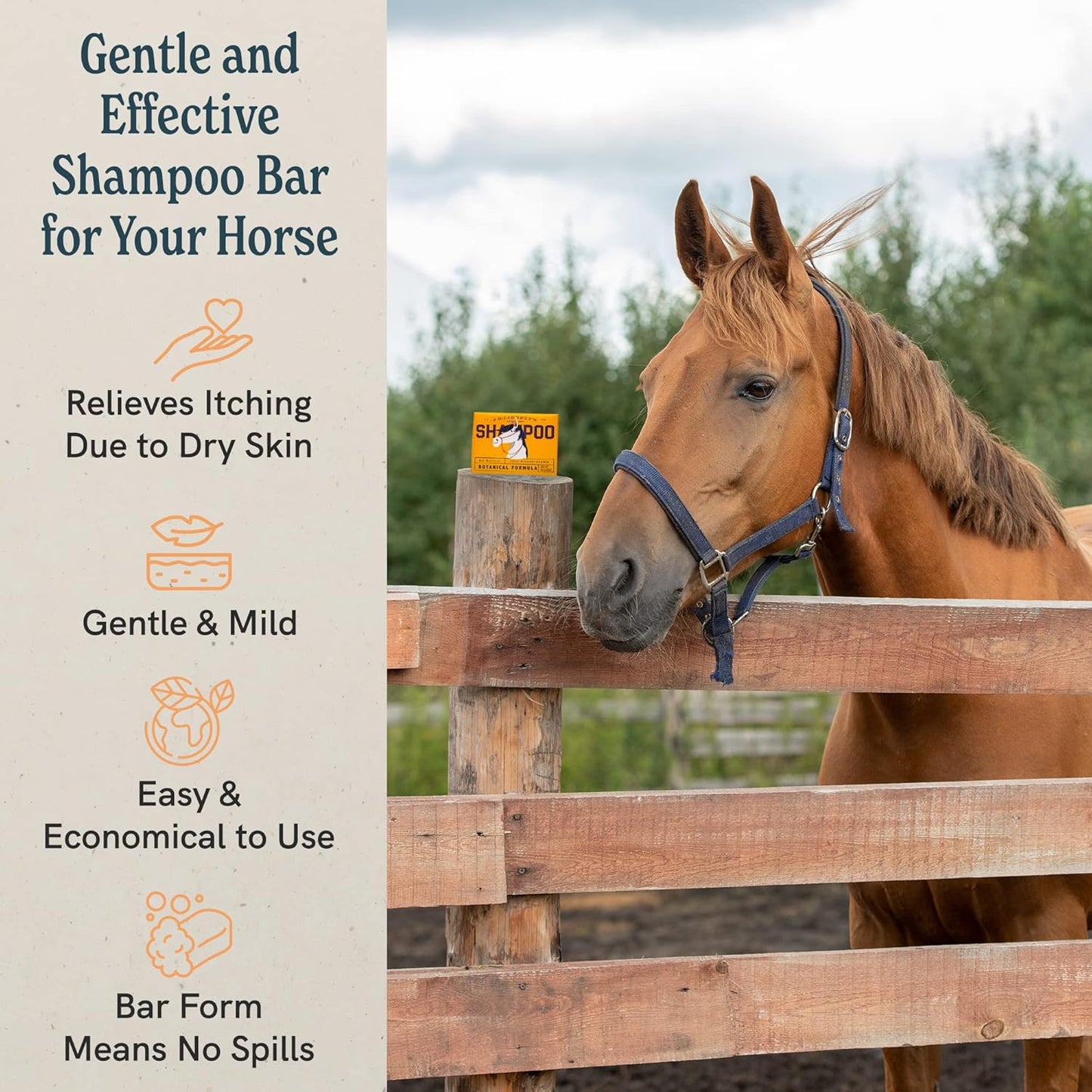 JR Liggett’s Botanical Horse Shampoo Bar for Sensitive Skin - 100% Detergent Free, Non-GMO & Biodegradable - Deep-Cleansing, Hypoallergenic Formula for Healthy Skin, Mane & Tail - 3.5 oz Bar