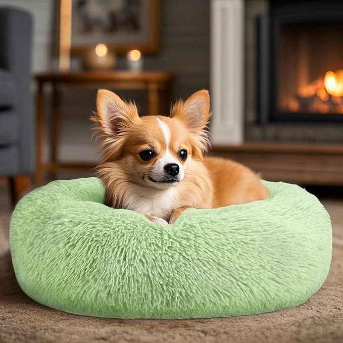 Dogs Bed for Small Dogs, Anti-Anxiety Washable Round Bed (Green, 24.0" L x 24.0" W x 8.0" Th)