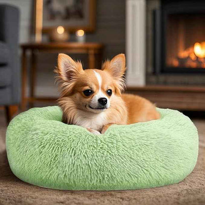 Dogs Bed for Small Dogs, Anti-Anxiety Washable Round Bed (Green, 24.0" L x 24.0" W x 8.0" Th)