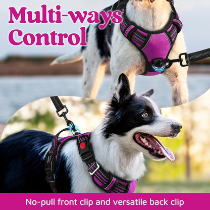 rabbitgoo Dog Harness Small Sized, No Pull Dog Vest with 3 Buckles, Adjustable Soft Padded Pet Harness with Easy Control Handle and Reflective Strips, Purple, S