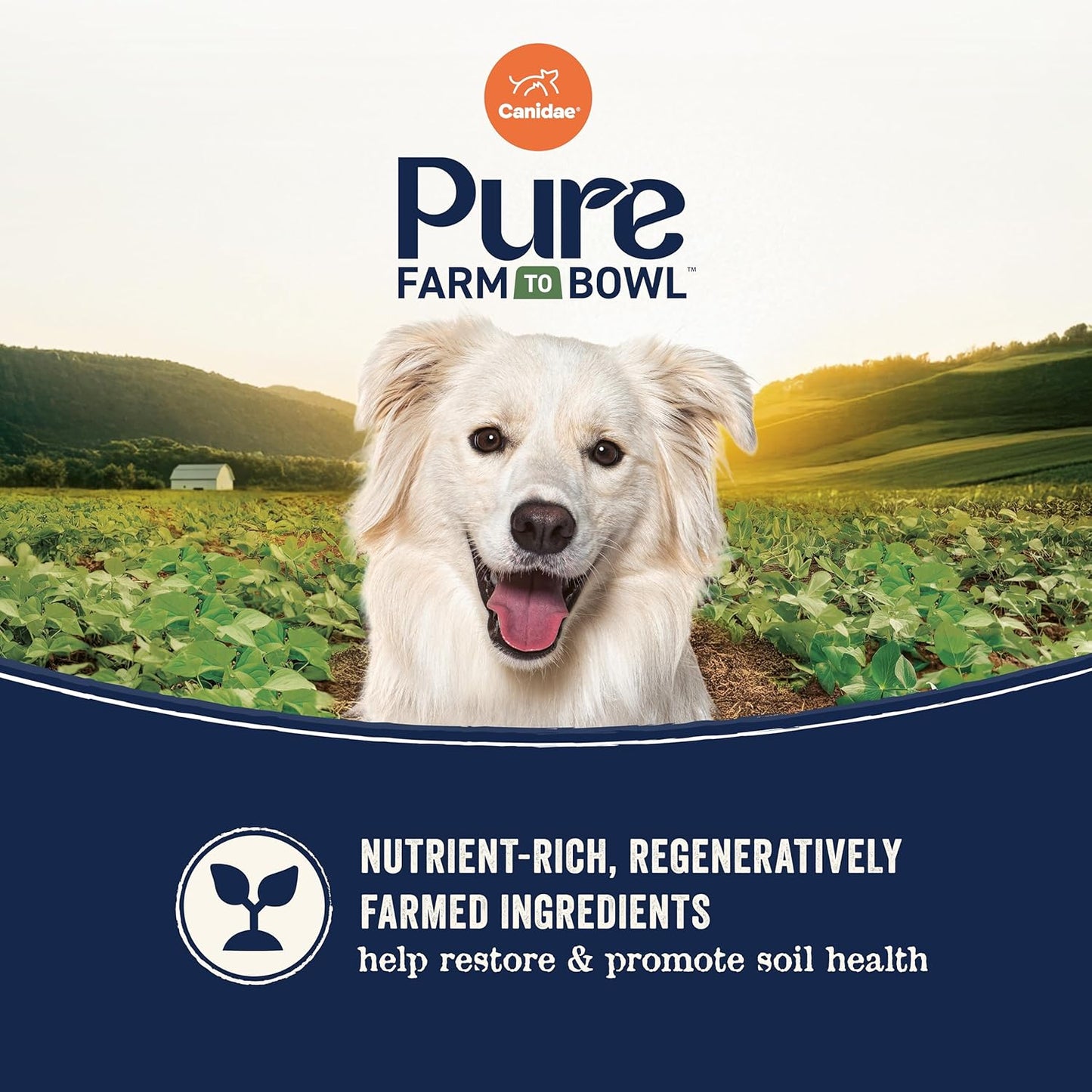 Canidae Pure Farm to Bowl, Grain-Free, Wild-Caught Salmon & Sweet Potato Dog Food, Adult 12lb